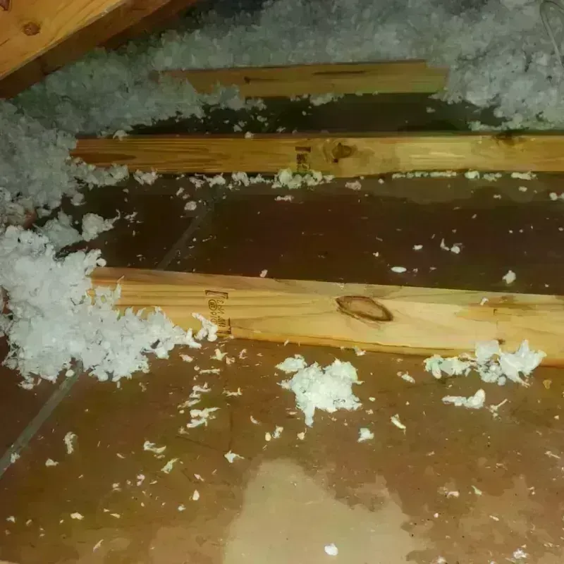 Attic Water Damage in Baxter Springs, KS